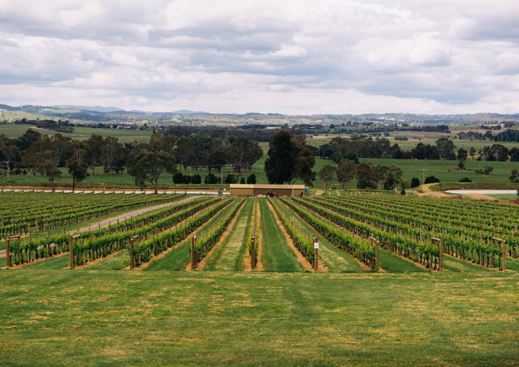 How to Spend 3 Days in the Yarra Valley